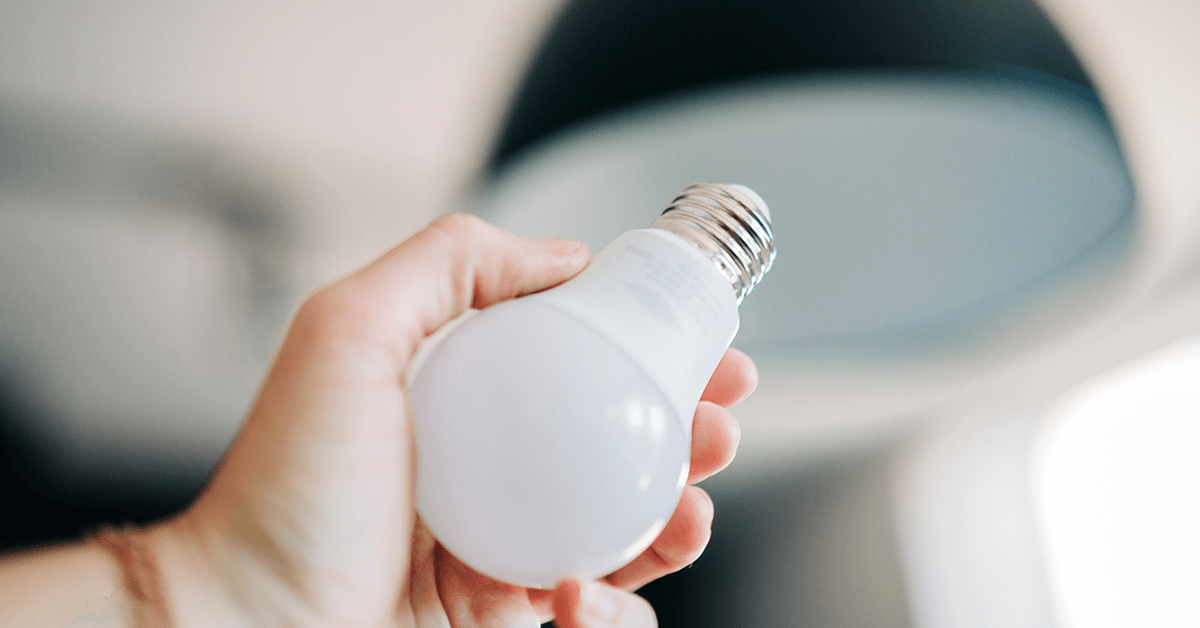 hand holding lightbulb